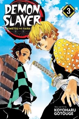Afbeeldingen van Demon Slayer: Kimetsu no Yaiba Demon Slayer: Kimetsu no Yaiba, Vol. 3