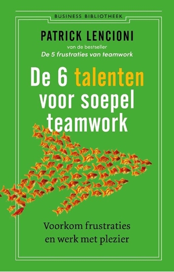 Afbeelding van De 6 talenten voor teamwork