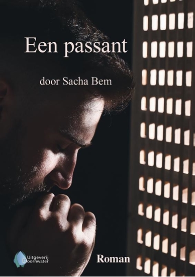 Afbeelding van Een passant