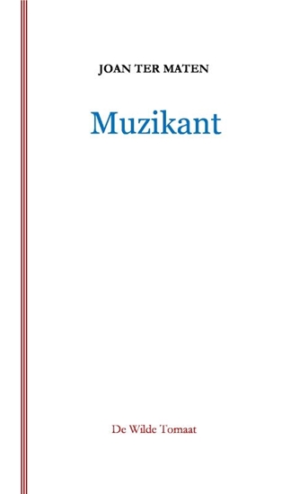 Afbeelding van Muzikant