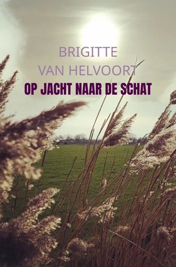 Afbeelding van Op jacht naar de schat