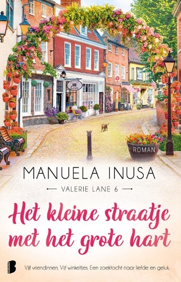 Afbeelding van Valerie Lane Het kleine straatje met het grote hart