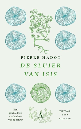 Afbeelding van De sluier van Isis