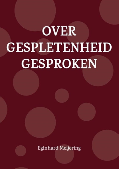 Afbeelding van Over gespletenheid gesproken