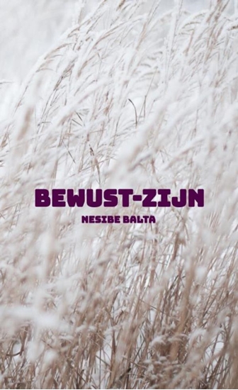 Afbeelding van Bewust-zijn