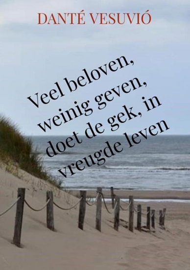 Afbeelding van Veel beloven, weinig geven, doet de gek, in vreugde leven