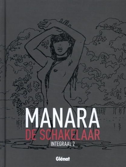 Afbeelding van De schakelaar Integraal 2