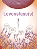 Afbeelding van Levensfase(s)