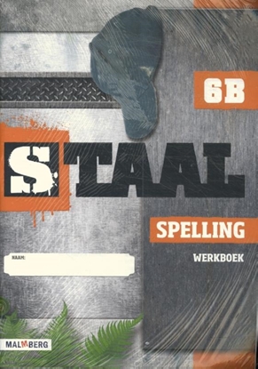 Afbeeldingen van Staal spelling (set 5 ex) groep 6 werkboek b