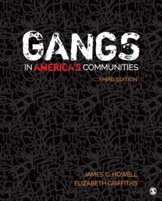 Afbeeldingen van Gangs in America's Communities