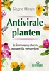 Afbeelding van Antivirale planten