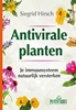 Afbeelding van Antivirale planten