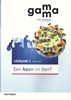 Afbeelding van Gamma leerjaar 2 vmbo-kgt themaboek