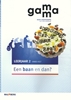 Afbeelding van Gamma leerjaar 2 vmbo-kgt themaboek