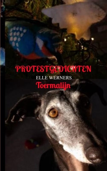 Afbeelding van PROTESTGEDICHTEN