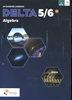 Afbeelding van Delta Delta le) 5/6 Algebra Activerend leerboek
