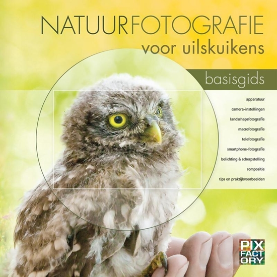 Afbeelding van Natuurfotografie voor uilskuikens