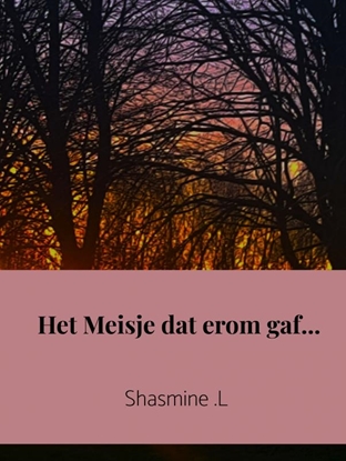 Afbeeldingen van Het Meisje dat erom gaf...