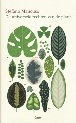 Afbeeldingen van De universele rechten van de plant