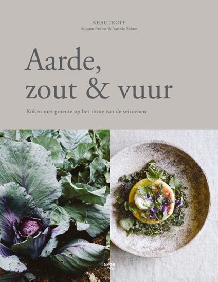 Afbeelding van Aarde, zout en vuur