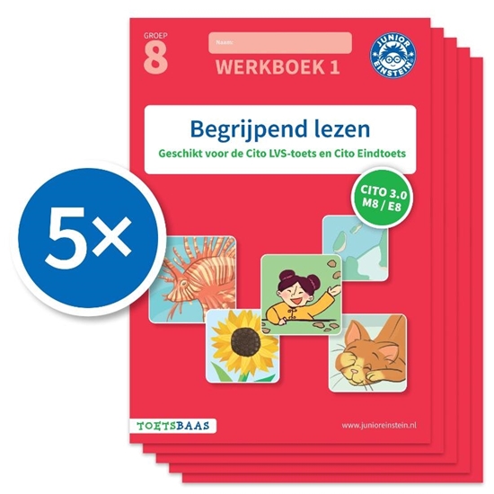 Afbeelding van Toetsbaas Begrijpend lezen 1 (Set van 5) groep 8 werkboek
