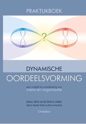 Afbeeldingen van Praktijkboek dynamische oordeelsvorming