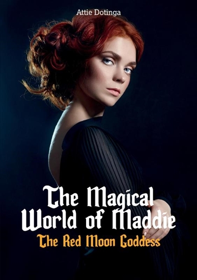 Afbeelding van The Magical World of Maddie 3