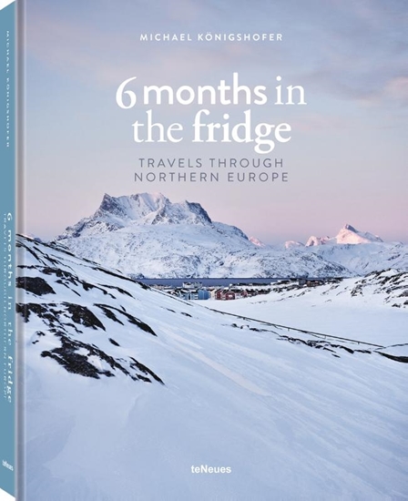 Afbeelding van 6 Months in the Fridge