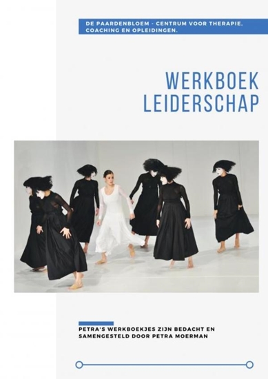 Afbeelding van Werkboek Leiderschap