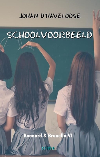 Afbeelding van Schoolvoorbeeld