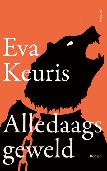 Afbeelding van Alledaags geweld