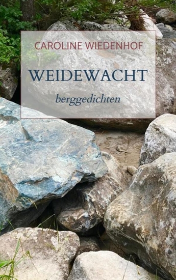 Afbeelding van Weidewacht