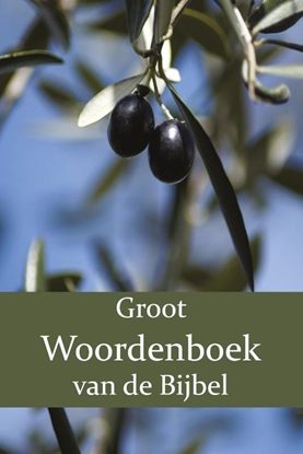 Afbeeldingen van Groot Woordenboek van de Bijbel Groot Woordenboek van de Bijbel O-Z