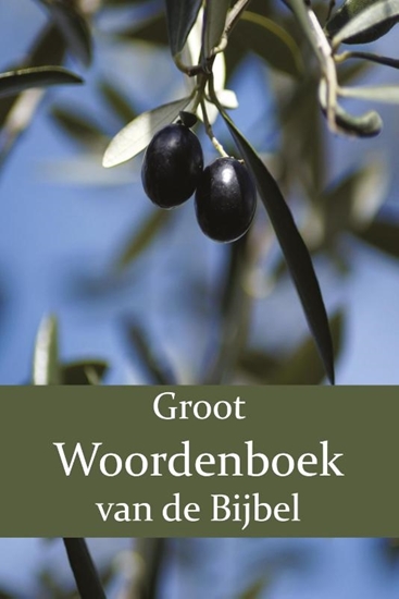 Afbeelding van Groot Woordenboek van de Bijbel Groot Woordenboek van de Bijbel O-Z