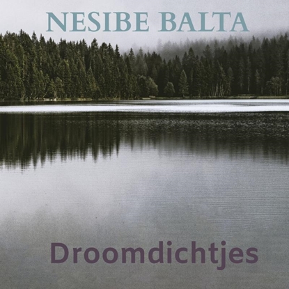Afbeeldingen van Droomdichtjes
