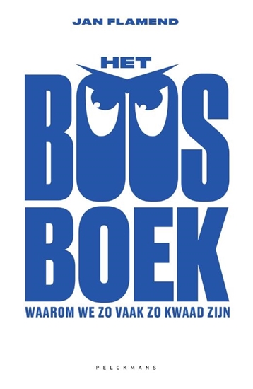 Afbeelding van Het BOOSboek
