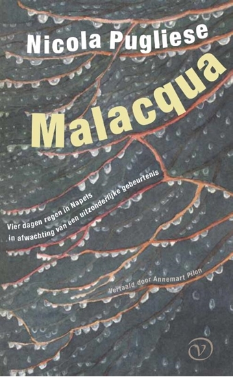 Afbeelding van Malacqua