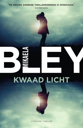 Afbeeldingen van Ellen Tamm Kwaad licht