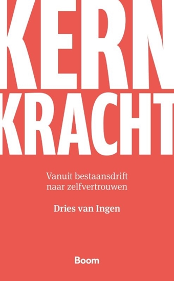 Afbeelding van Kernkracht