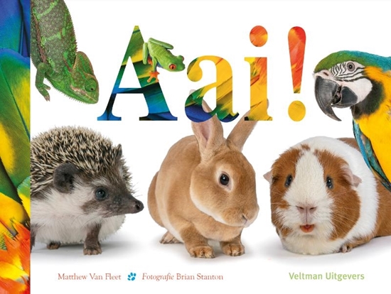 Afbeelding van Aai!