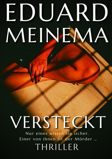 Afbeelding van Versteckt