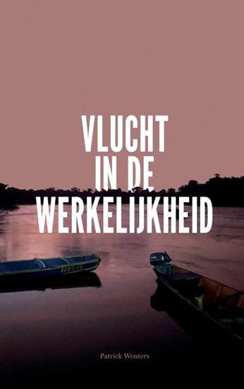 Afbeelding van Vlucht in de werkelijkheid