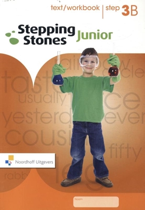 Afbeeldingen van Stepping Stones Junior Step 3B Text/workbook