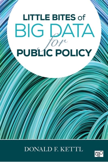 Afbeelding van Little Bites of Big Data for Public Policy