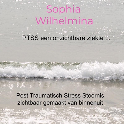 Afbeeldingen van PTSS een onzichtbare ziekte ...
