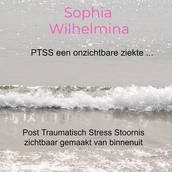Afbeelding van PTSS een onzichtbare ziekte ...