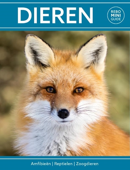 Afbeelding van Rebo mini guide Rebo mini guide - Dieren
