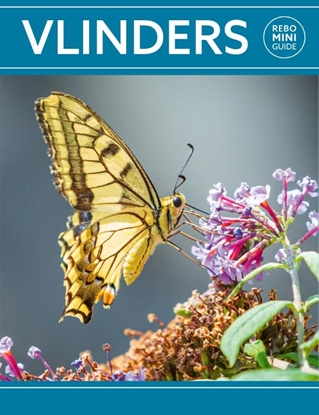 Afbeeldingen van Rebo mini guide Rebo mini guide - Vlinders