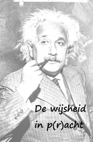 Afbeelding van De wijsheid in p(r)acht