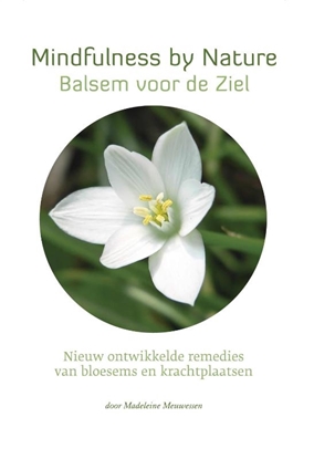 Afbeeldingen van Star Remedies - Mindfulness by Nature - Balsem voor de Ziel